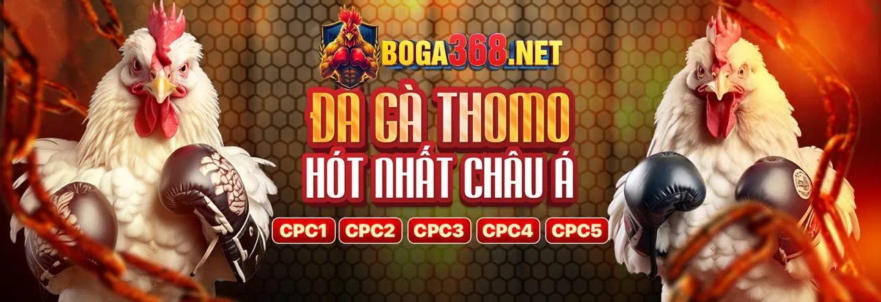 Hướng dẫn đăng ký từng bước tại hi88pro