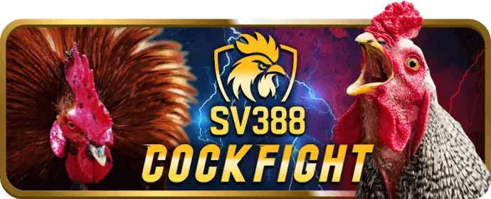 Video Slot hi88pro